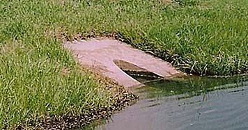 shoreline restoration