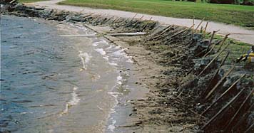 shoreline restoration