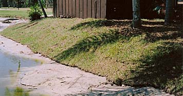 Florida Shoreline Restoration