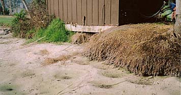 Florida Shoreline Restoration