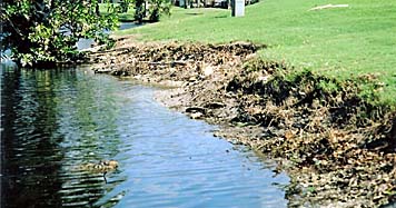 Florida Golf Course Shoreline Restoration