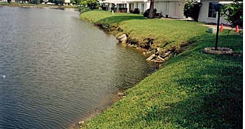 Florida Shoreline Restoration