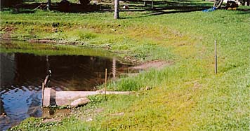 Florida Golf Course Shoreline Restoration